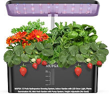 12 Pod Hydroponics_edited.jpg