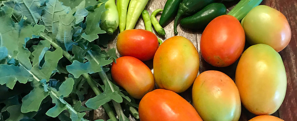 Garden Daily Harvest.jpg