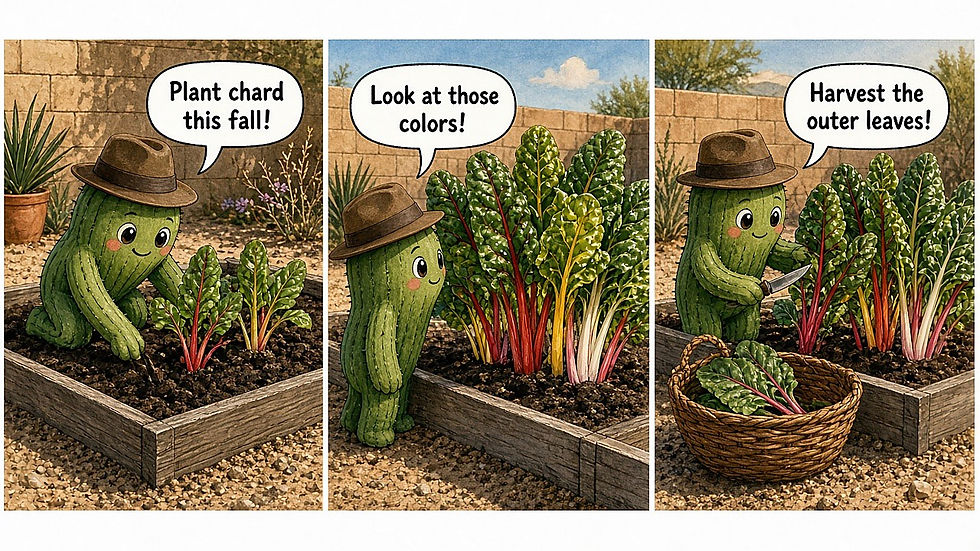 GreenThumb cactus mascot comic strip about growing rainbow Swiss chard in a fall Arizona garden
