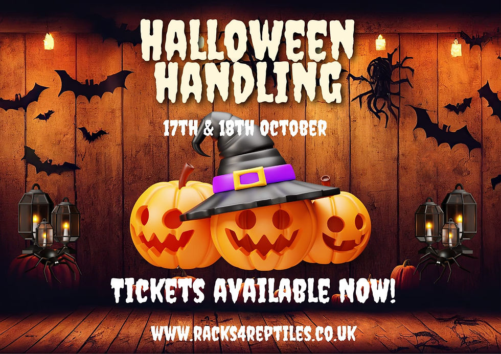 Haloween Handling