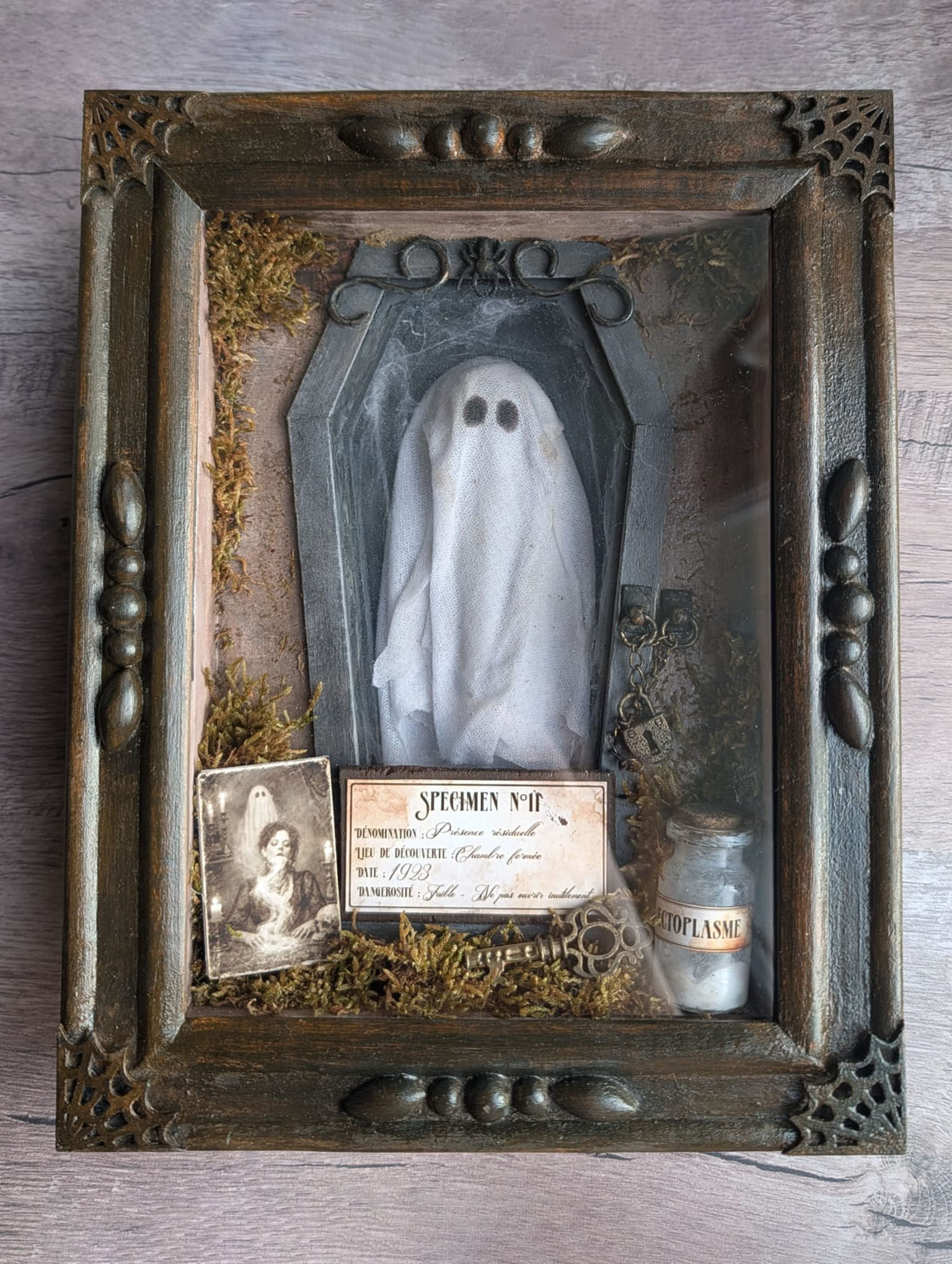 Vitrine miniature - Le Fantôme Capturé