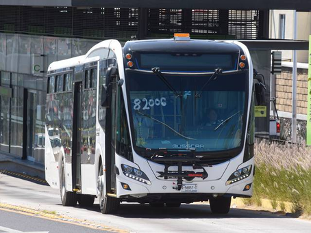 El proceso de modernización del transporte público ha sido iniciado, según declaraciones de Kuri.
