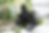 FourX DL 3.png