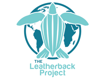 leatherback_black.png