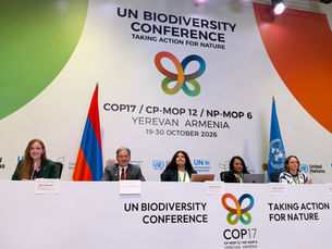 Rights of Nature Leaders Launch Global Civil Society Coalition at COP17