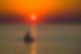 bab78d69-5096-4dfd-9077-68d043247468.JPG