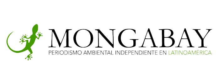 ai-logo-mongabay-sf.webp