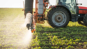 One Emulsifier, Every Neem Application: The Agrosurf NOE Advantage