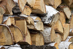 BIRCH (Limited Supply)