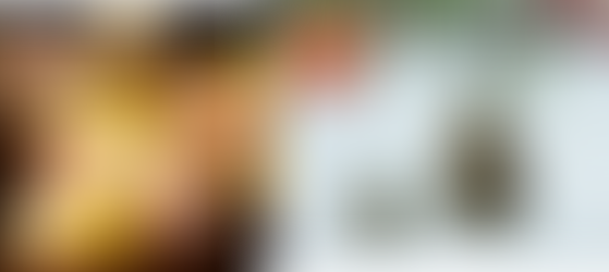 聖誕必備裝飾 節日限時優惠，Sunshine 攜手與您共度佳節！