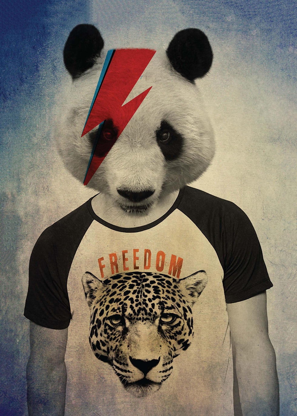 Miniatura: 26 - Panda Groupie