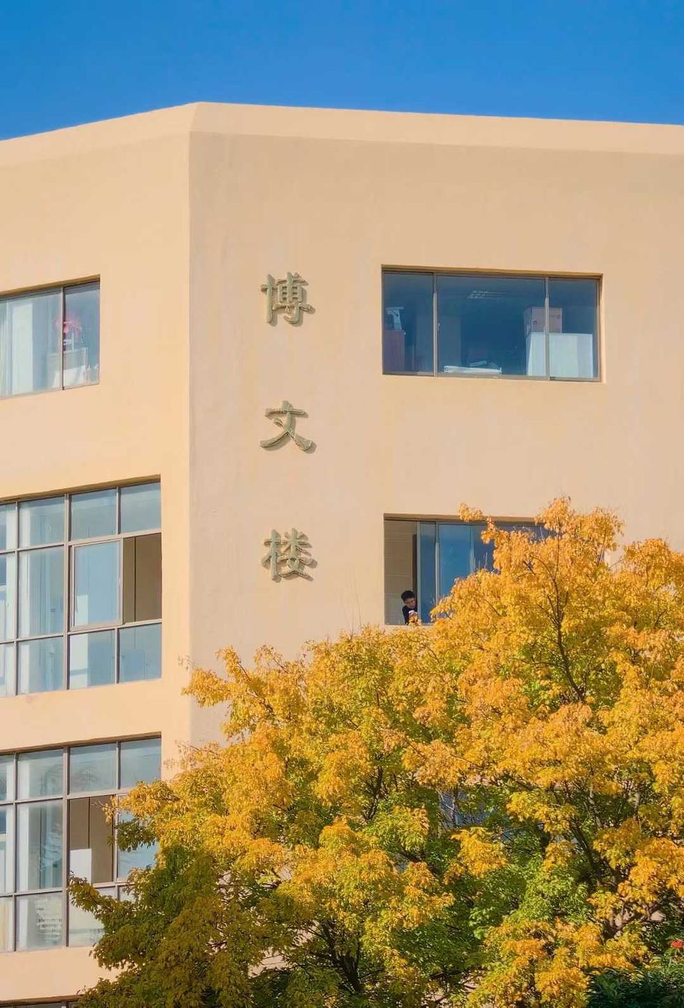 学校环境