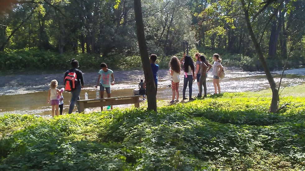 Enjoy the Creek