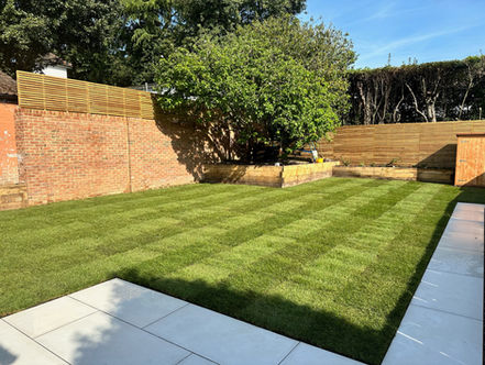 Landscaped garden with tree in the corner