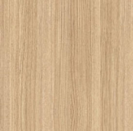 CARVALHO Polo - Arauco.jpg