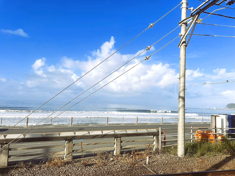 Kamakura Typhoon Swell