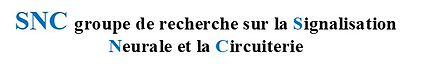 SNC (1).png