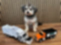 image1.jpeg