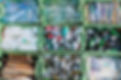 Separating Waste _edited.jpg