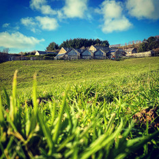 Merlin Farm