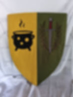 Housse de bouclier personnalisée