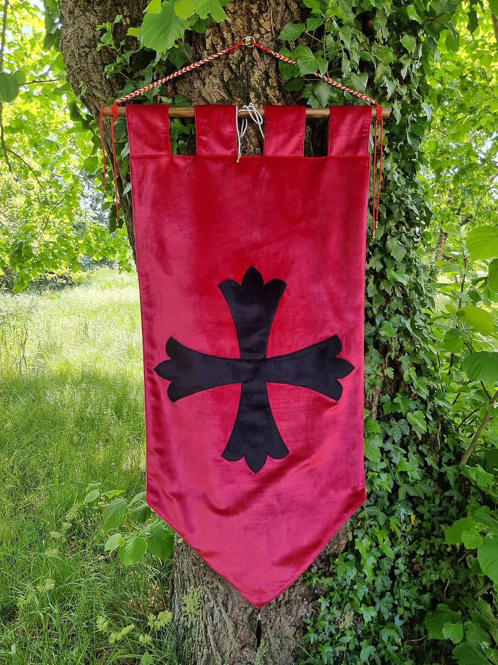 Etendard Larp Avalon opus 1