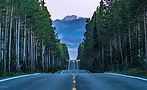 vecteezy_road-through-forest-leading-to-grand-tetons_3082009.jpg