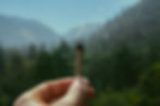 jeff-w-tLulTV2-_D4-unsplash (1).jpg