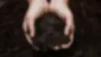 soil dirt hands.webp
