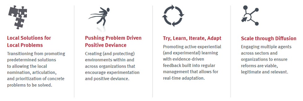 Principles of PDIA. Source: PDIA Toolkit, Samji et al. (2018), Building State Capability, Harvard University
