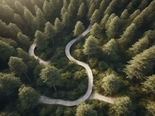 Healing from Trauma: Blue Knot factsheet about how the brain heals from complex trauma