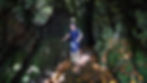 Madeira Hiking