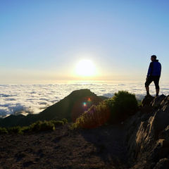 IMG_3897.jpeg
