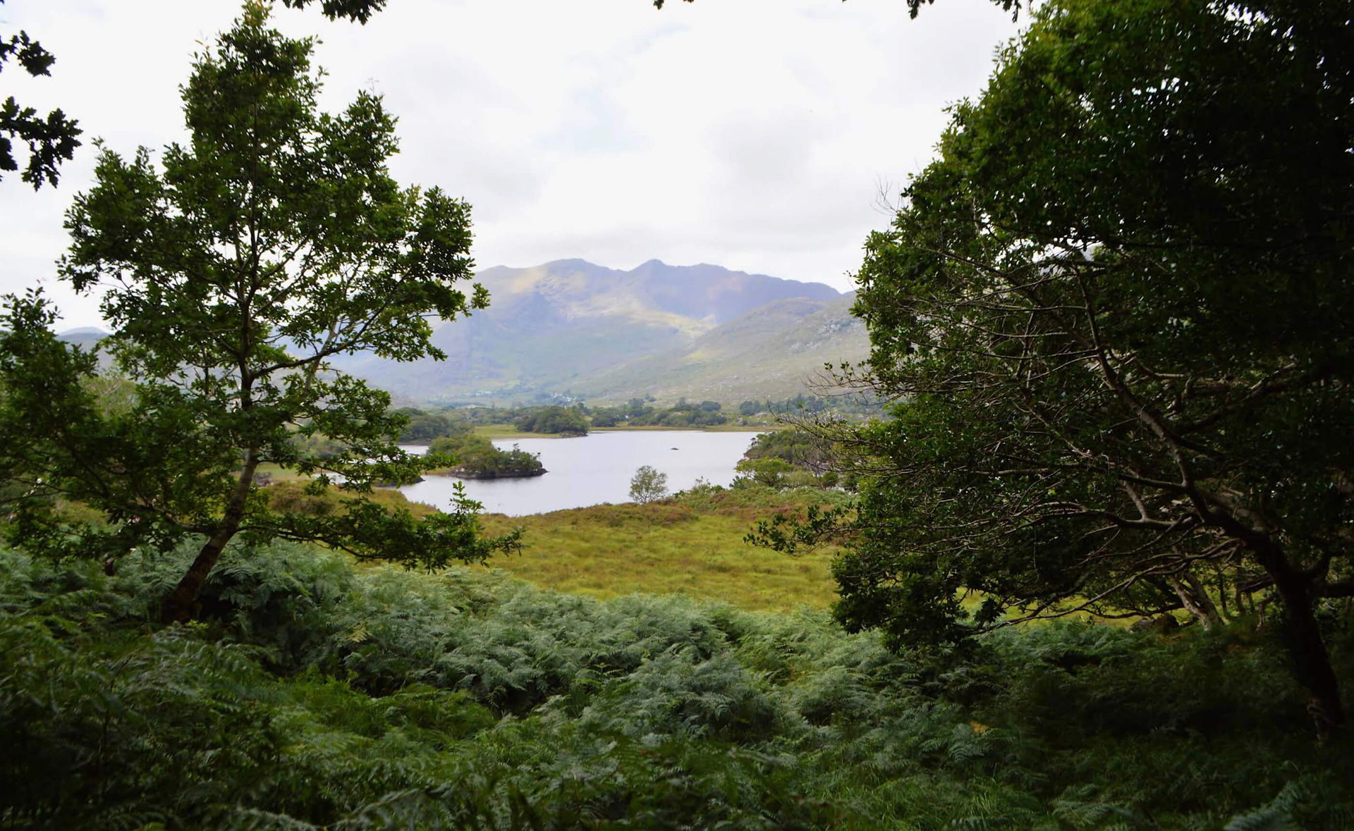 irland wandern Kerry Way