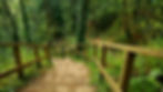 ballyhoura way