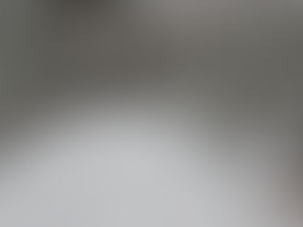 На территории Пензенской области выявлено 17 нарушений лесного законодательства