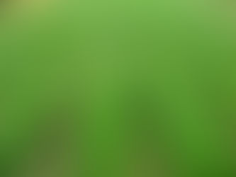 Строительство лесных питомников может стать обязательством лесозаготовителей