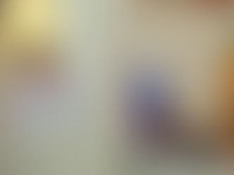 Общественная палата Пензенской области организовала публичные слушания по вопросу создания лесопарко