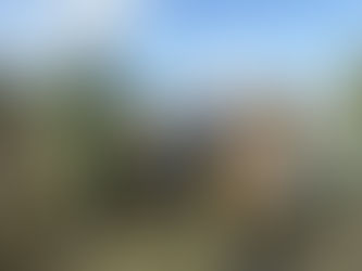 Акция «Всероссийский день посадки леса»