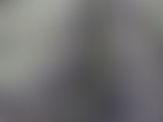 На территории Пензенской области продолжается посадка лесных культур в рамках Международной акции «С