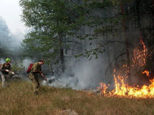 Глава Минприроды России Сергей Донской потребовал от региональных властей исключить неконтролируемые