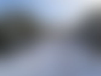 В Минюсте зарегистрирован типовой договор аренды лесного участка