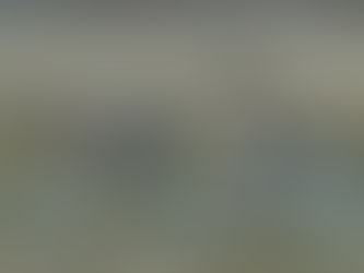 Минприроды России будут разработаны меры для сохранения популяций гуся гуменника и обыкновенной горл