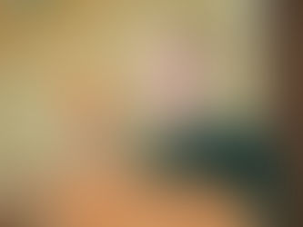 Александр Москвин участвует во Всероссийском совещании «Основные итоги работы лесного хозяйства Росс