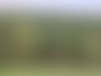 Объявлен запуск благотворительного забега #ЗаЛес