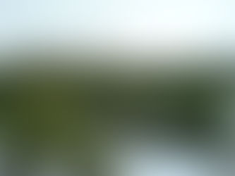 За 2018 год сокращена недоимка по платежам за использование лесов в бюджеты всех уровней более чем в