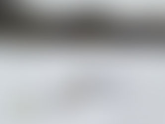 В Сосновоборском районе выявлены места несанкционированного размещения твердых коммунальных отходов