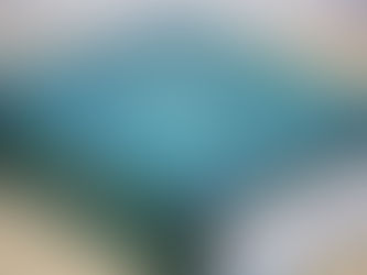 Изменения в Лесном кодексе в 2019 году – еще больше заботы о зеленых богатствах России