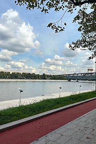 Покрытие беговой дорожки RD Sandwich воробьевская набережная.JPG