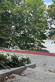 Спортивное покрытие беговой дорожки RUBBER DUST Воробьевская набережная.JPG